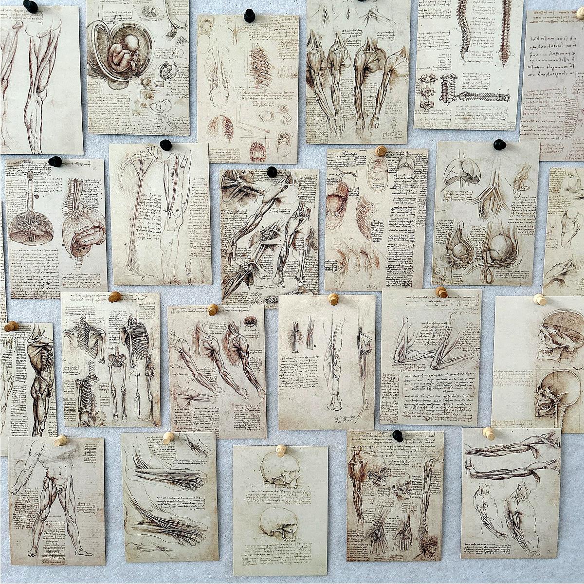 30PCS Classic Leonardo da Vinc - Collectible Vintage Greeting Cards reseña y precio