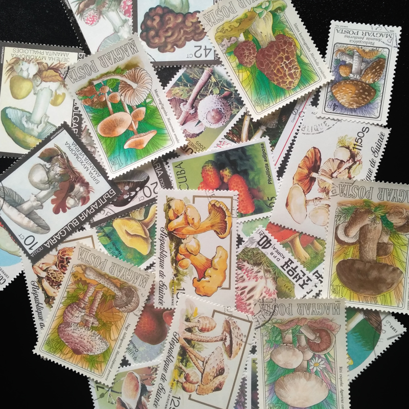 100 Different Original Mushroo - Vintage Collectible Stamps reseña y precio