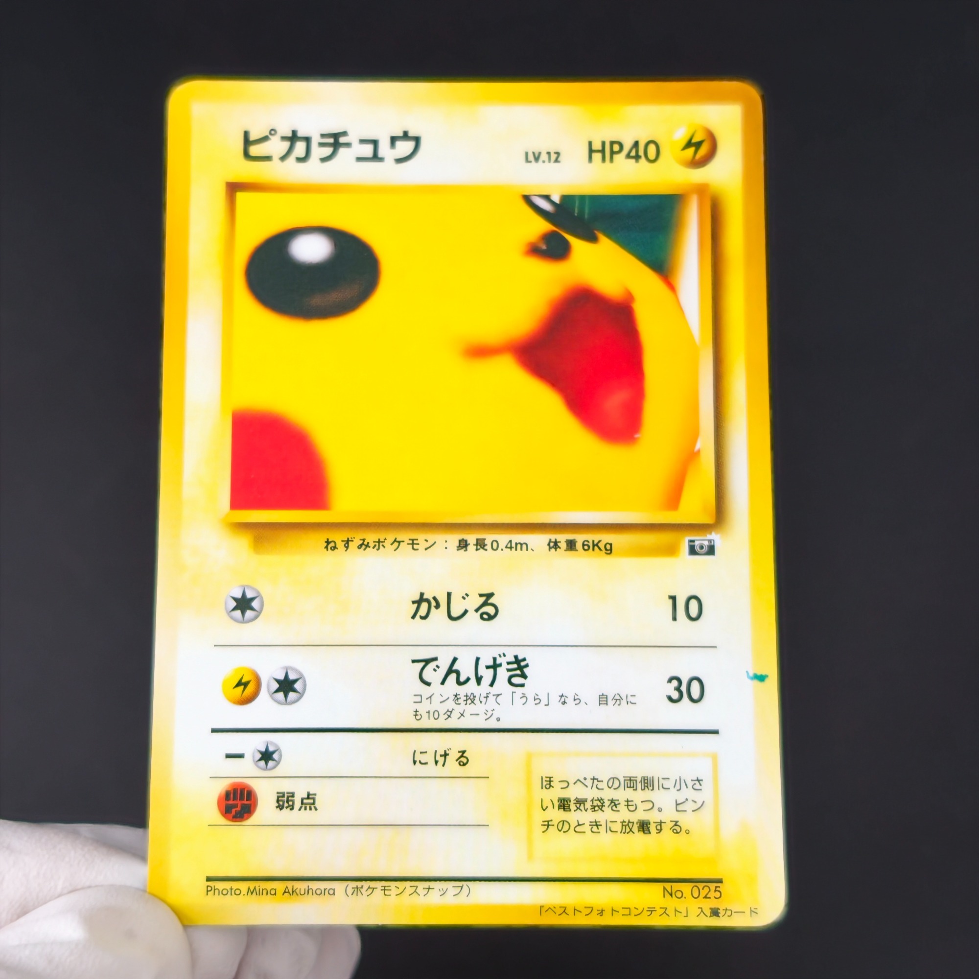 10PCS Pokemon Vintage Boy Bulb - Vintage Pokemon Collectible reseña y precio