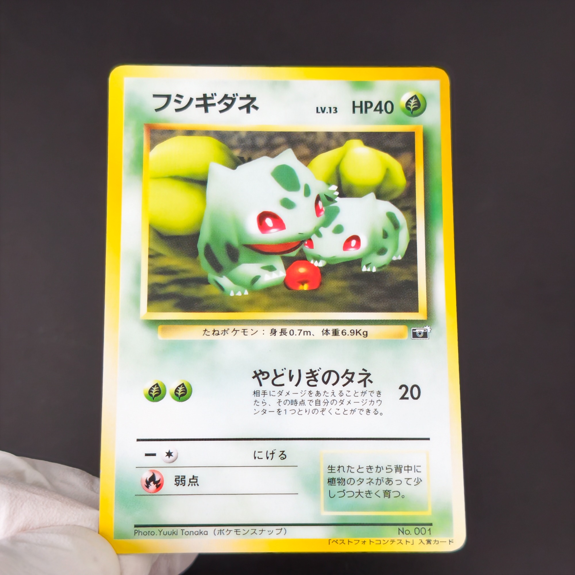 10PCS Pokemon Vintage Boy Bulb - Vintage Pokemon Collectible reseña y precio